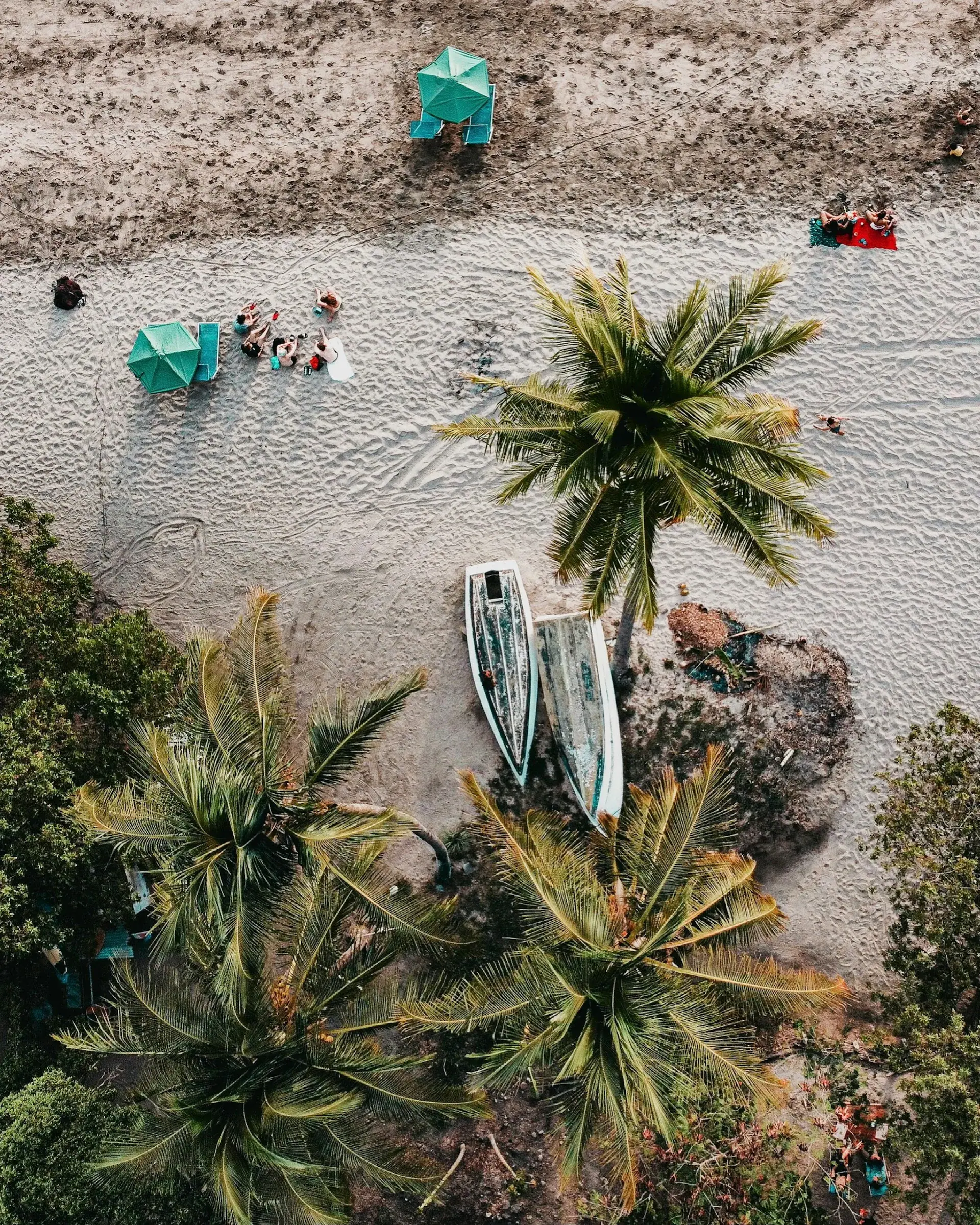 Aerial view of the Nicoya Peninsula — one of Earth's five Blue Zones